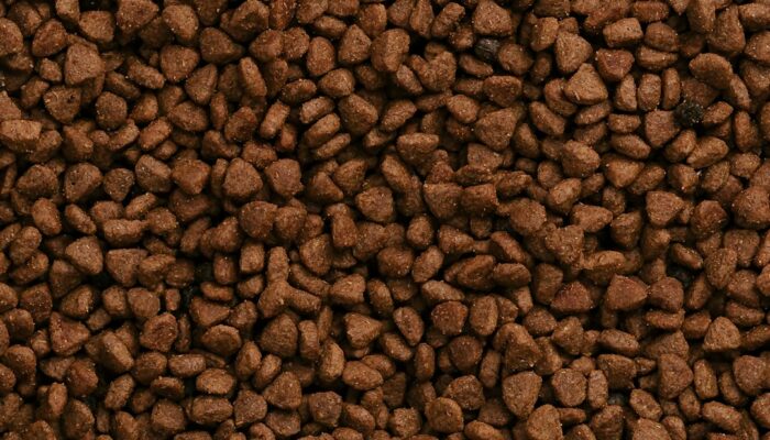 croquettes