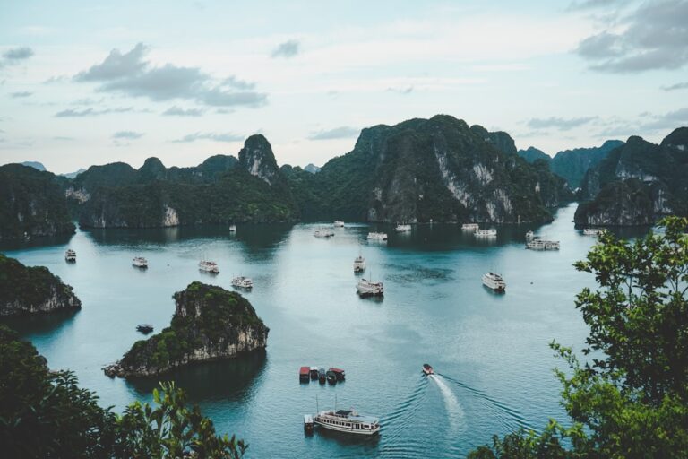 Visa Vietnam